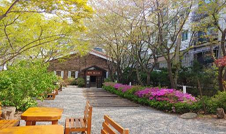 백마 화사랑 외부 모습