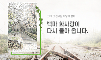 백마 화사랑이 다시 돌아 옵니다.