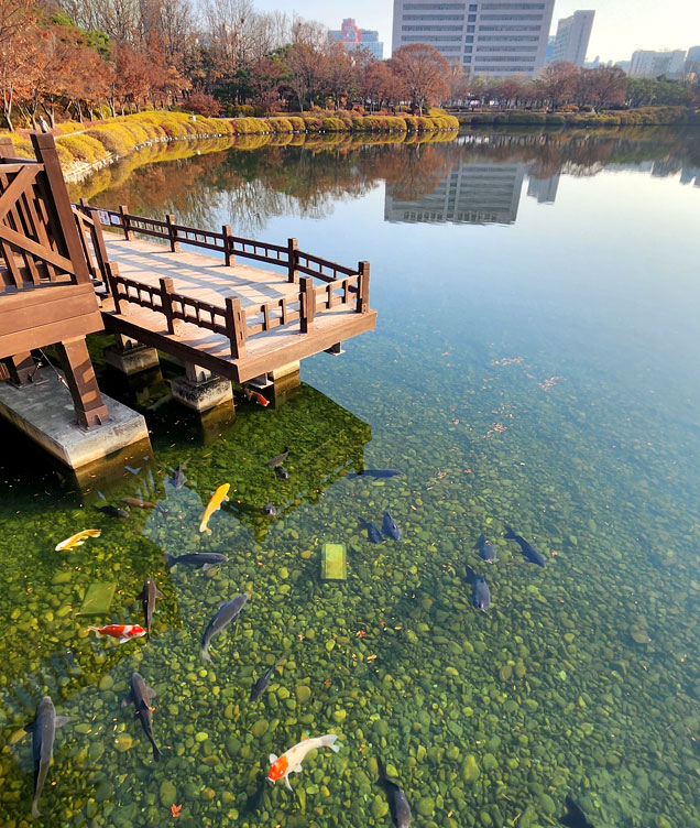 一山湖水公園 イメージ1