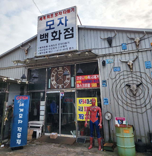 食寺洞ビンテージ通り イメージ1